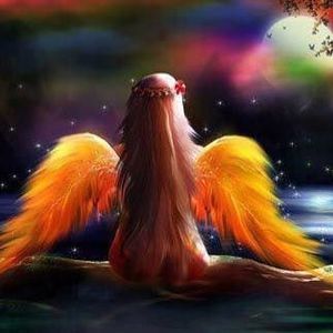 Meet your Posher, Patricia buzz